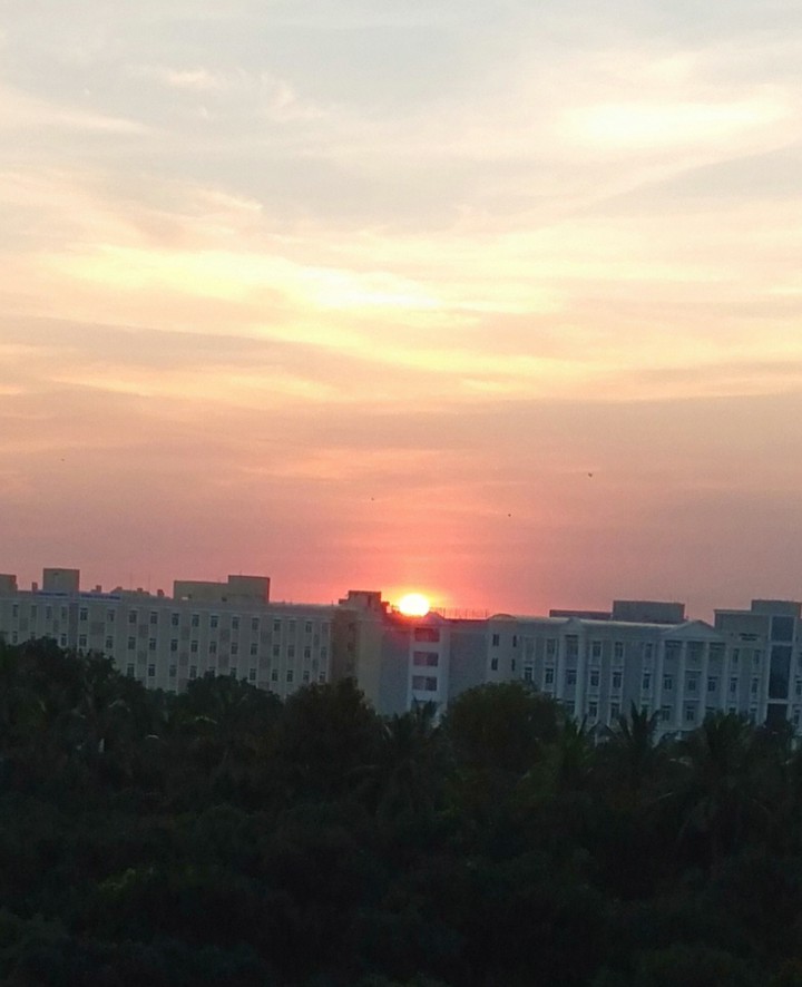#Evening time Sun