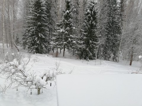 nice winter image