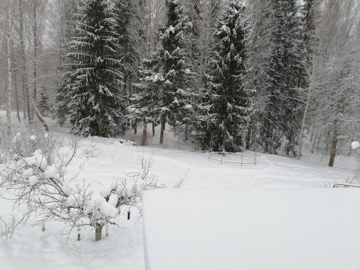nice winter image