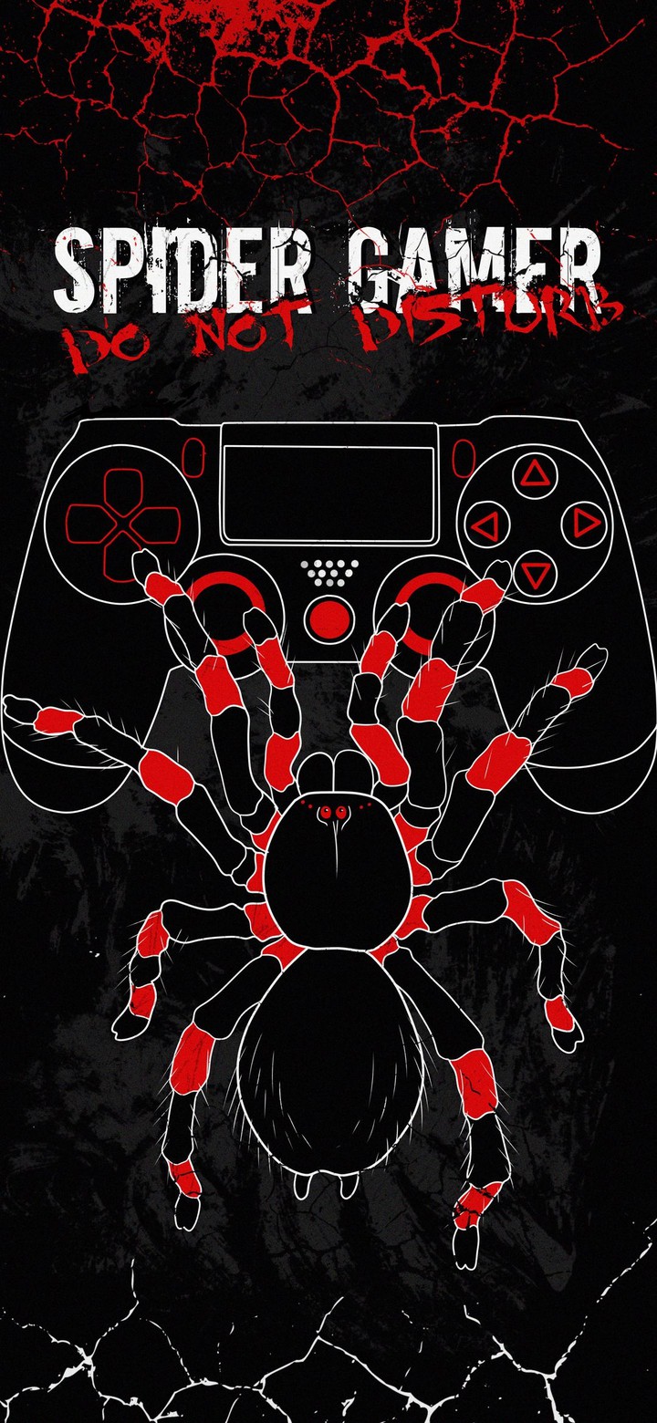 spider gamer