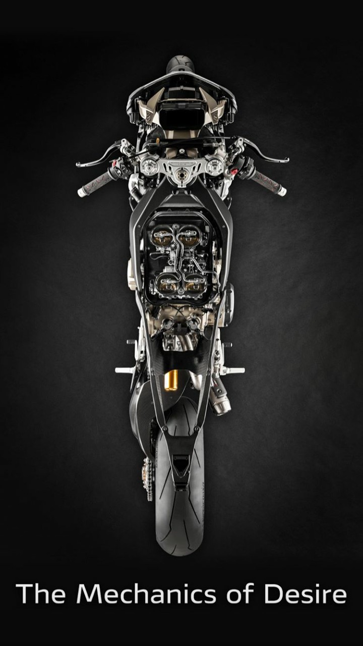 duc