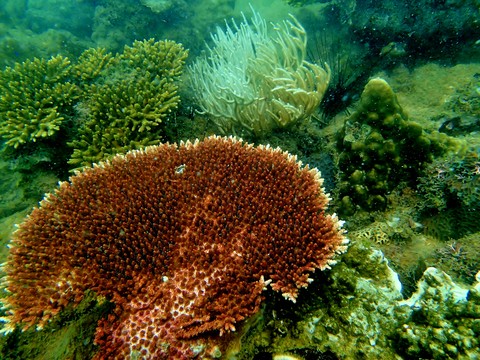 Sibu Island, Malaysia
