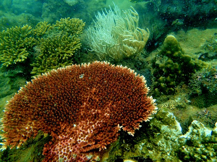 Sibu Island, Malaysia