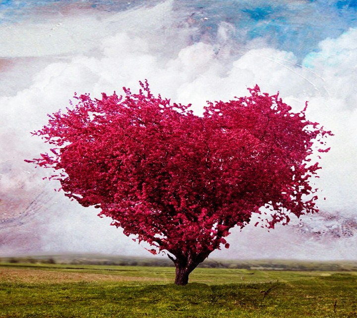 love