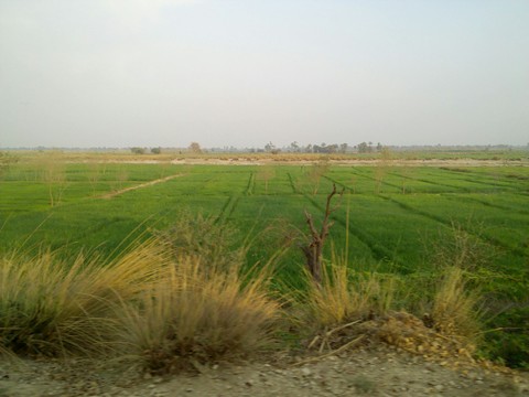 plain land..