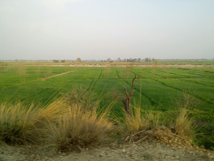 plain land..