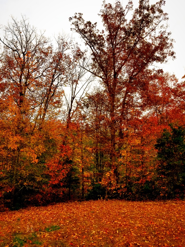 ~Fall in Affect~
