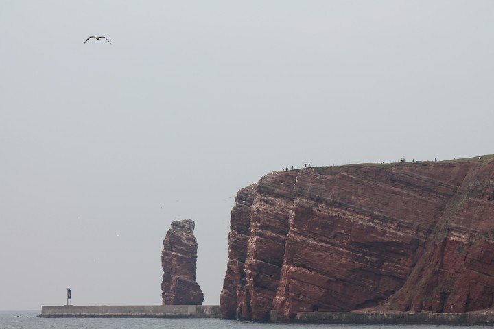 Island