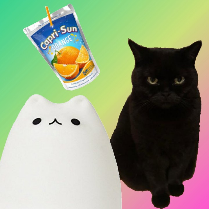Cat and Eggcat are drinking Capri-sun