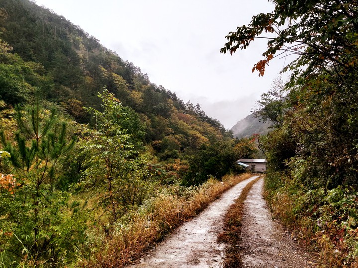 Country trail