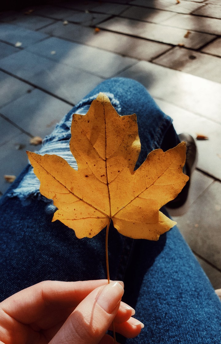 #Autunnleaves ?