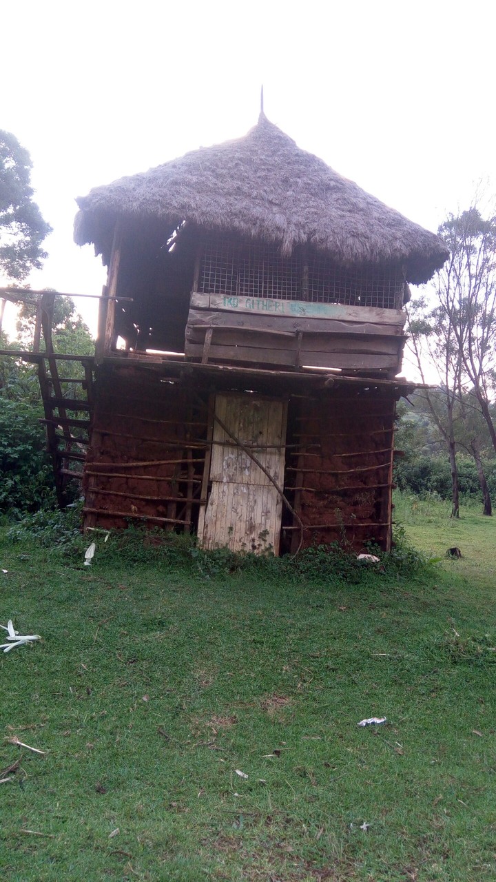 Creative storey house