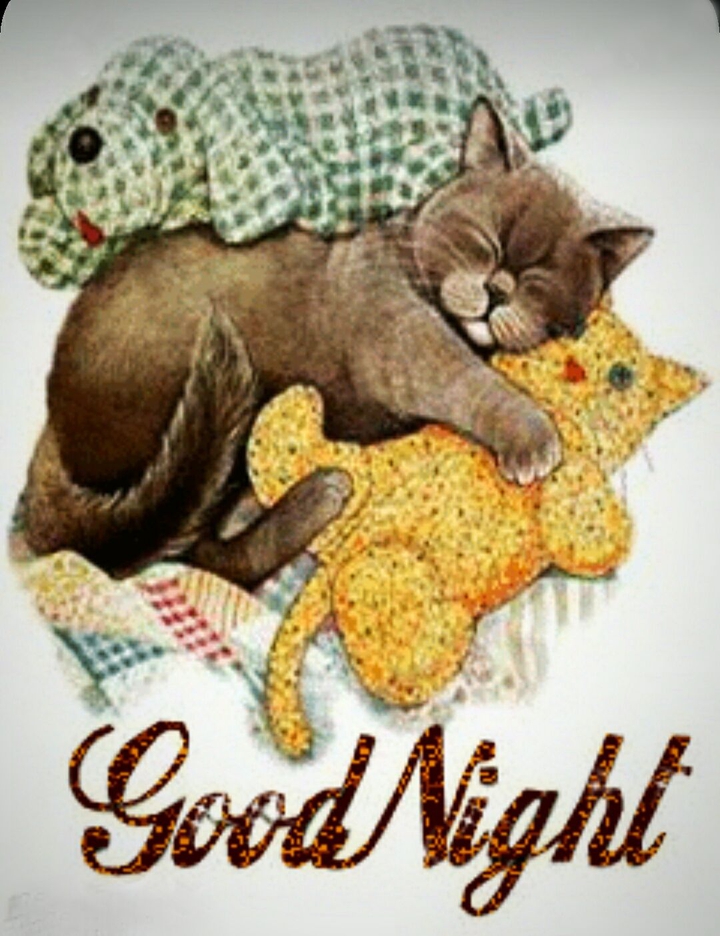 Good night ❤️