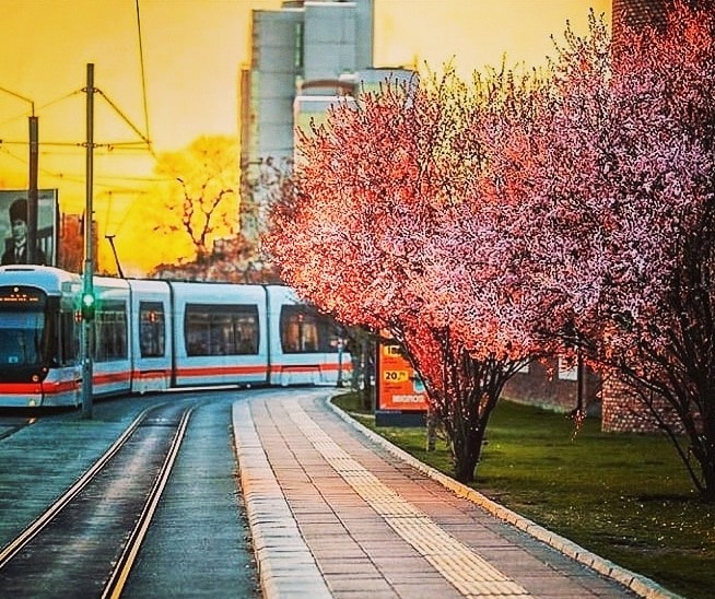 Eskişehir