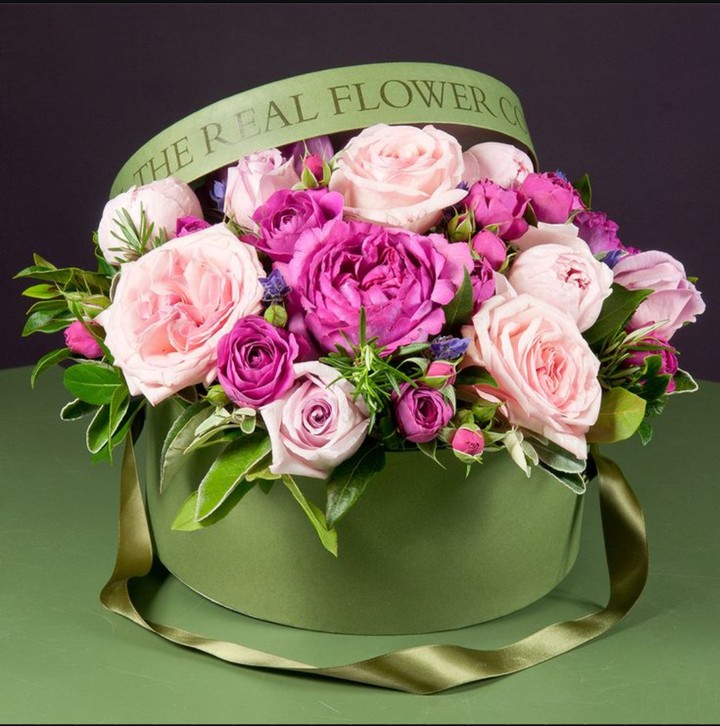Roses