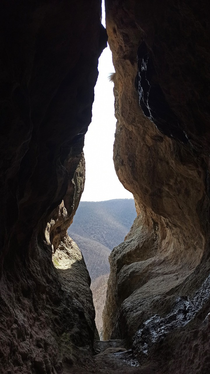 Rodopi