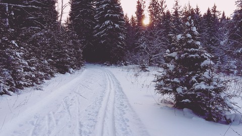 Winter