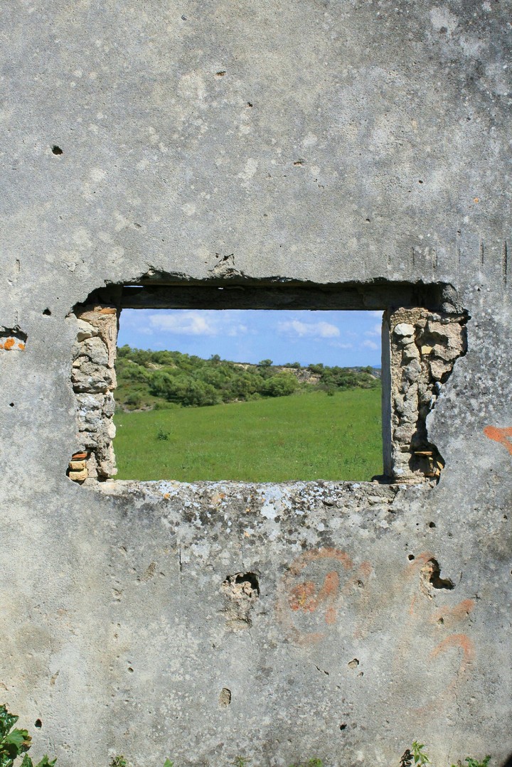 Window.