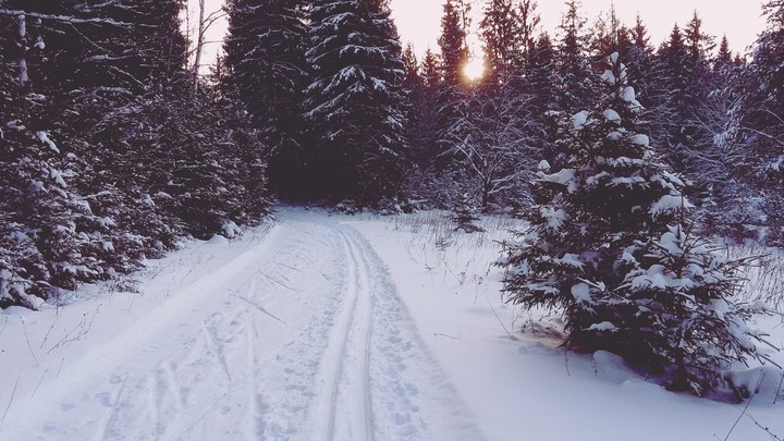 Winter
