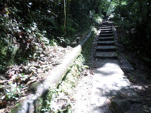 escadas para natureza