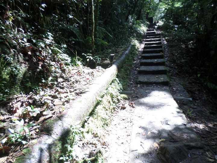 escadas para natureza