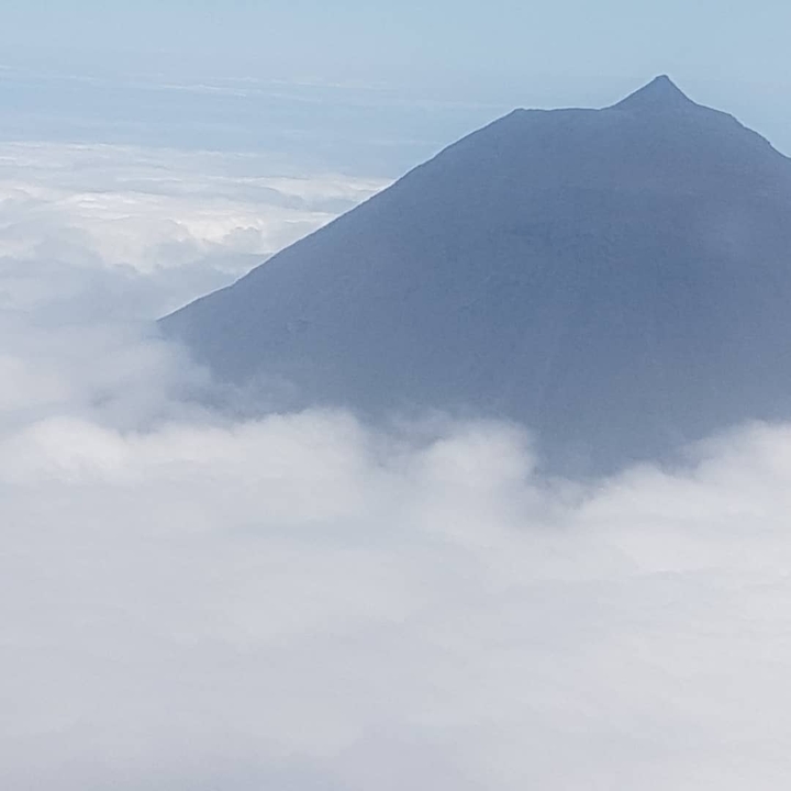 Pico