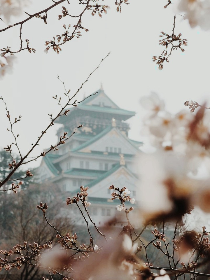 Castle Japan