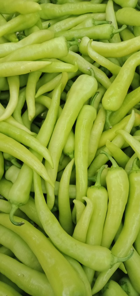 Chili solok