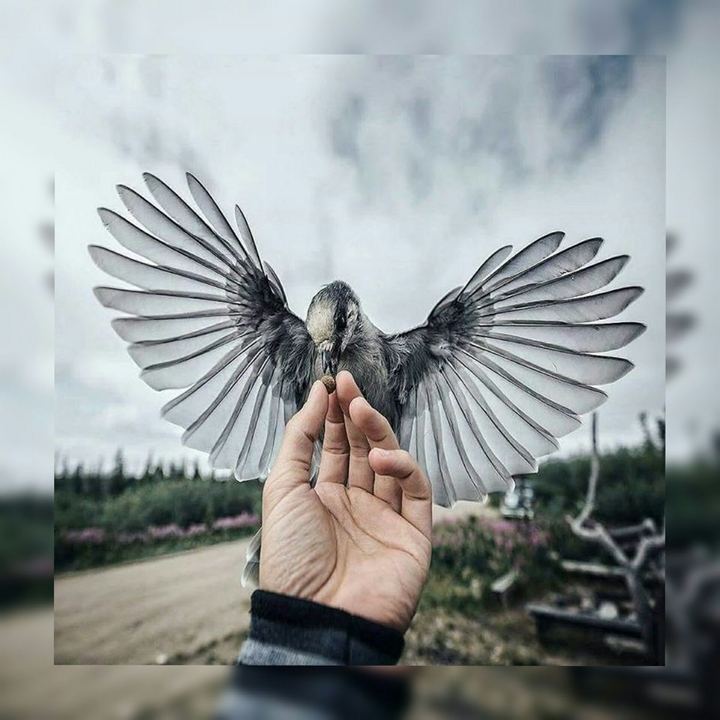 Towards-freedom...