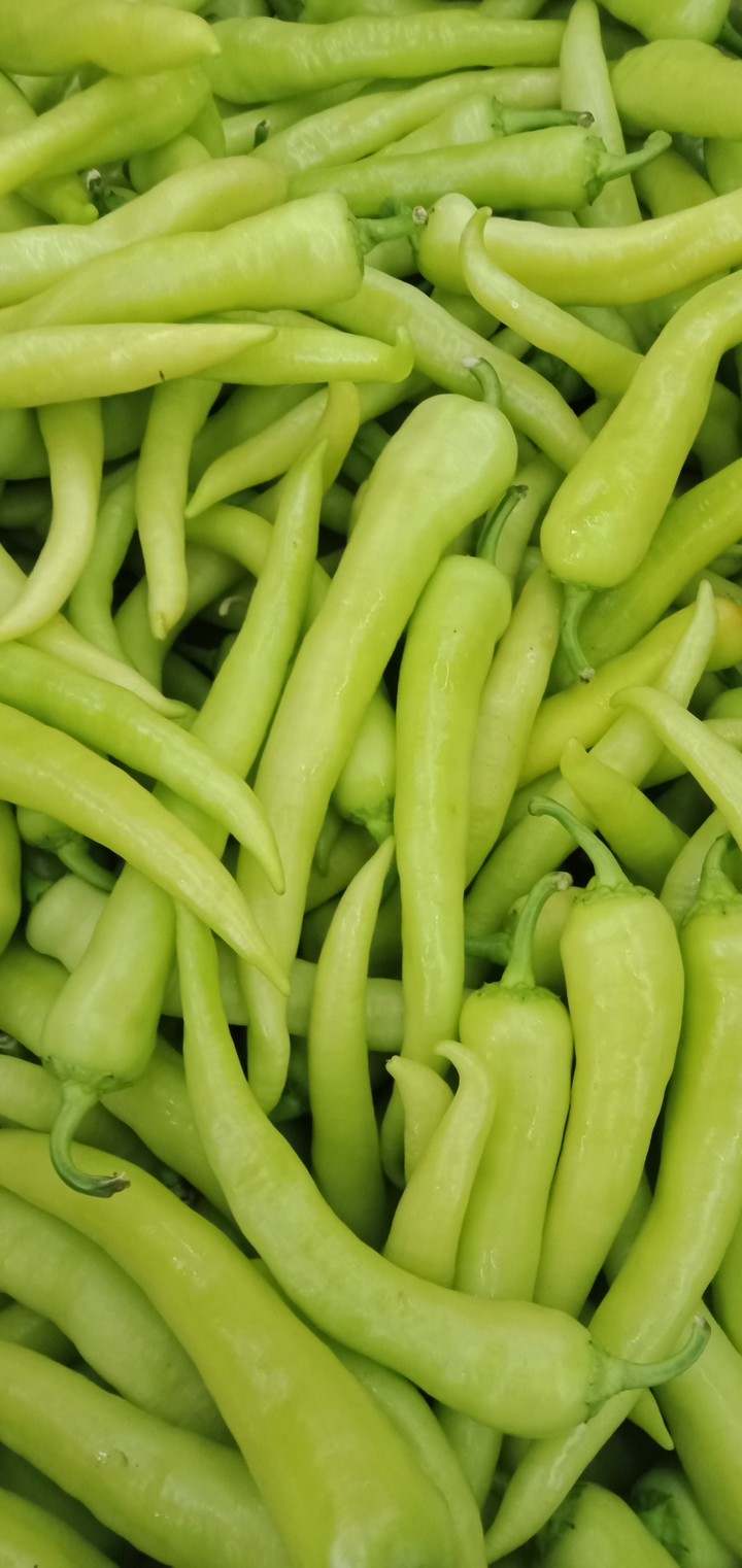 Chili solok