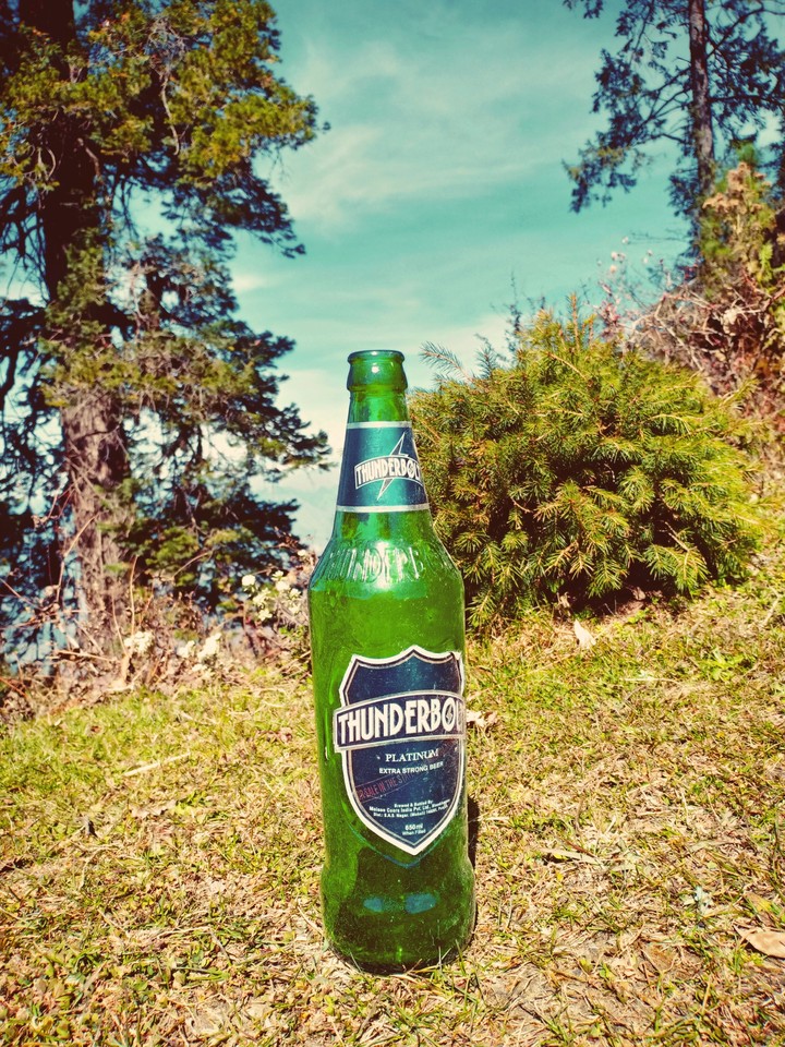 beer