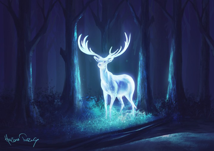 Stag in the woods