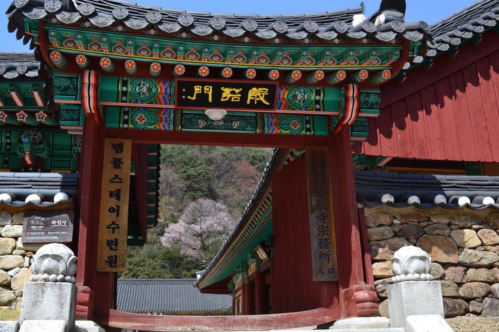 지리산이미지