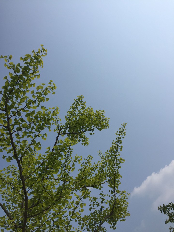 봄