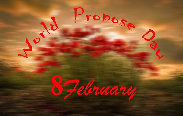 propose day