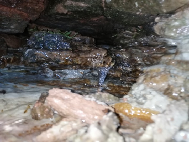 Water in the cave