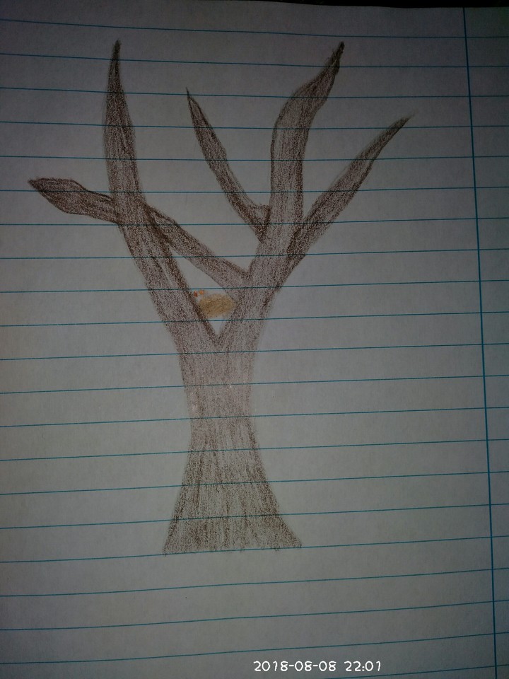 tree