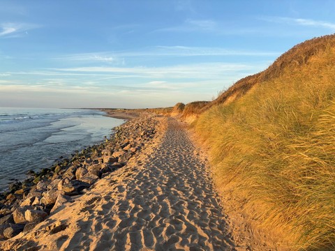 Denemarken