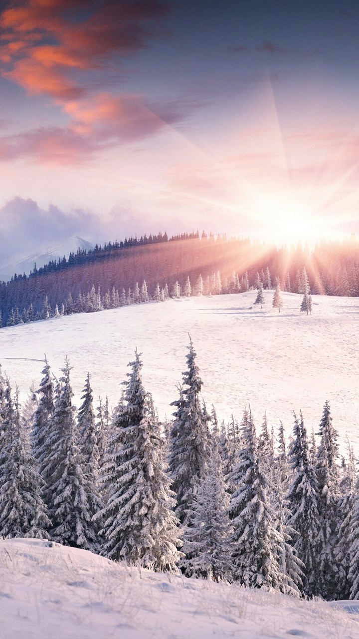winter