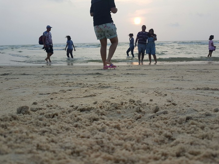 colva beach goa