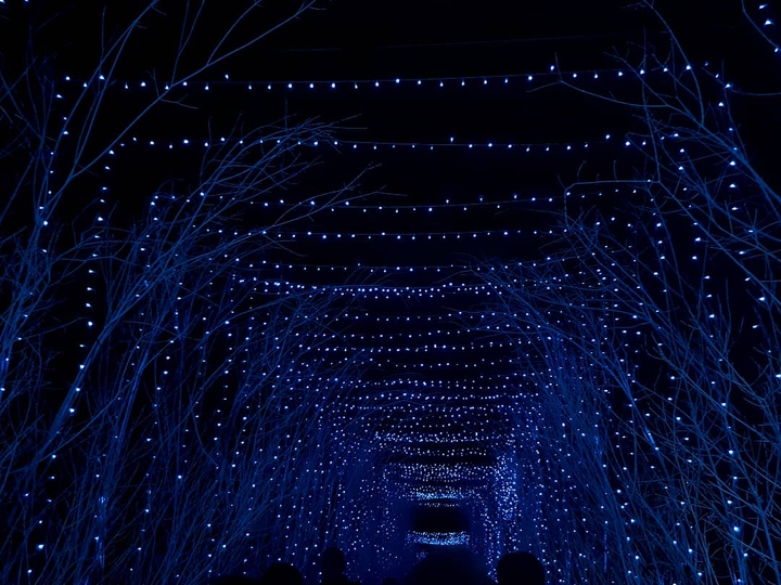 10 000 of lights