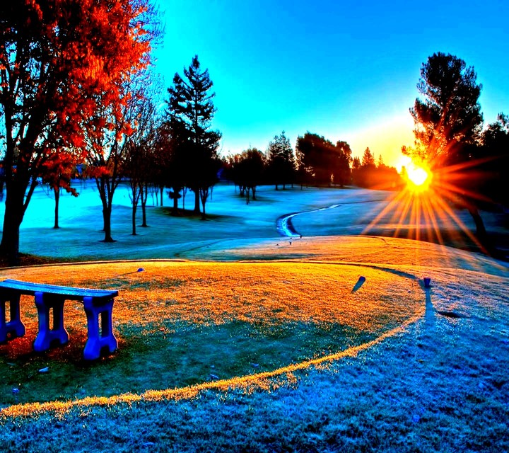 winter