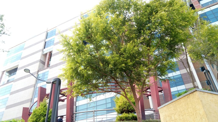 Tech Park #3