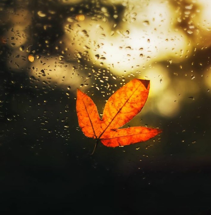 Fall