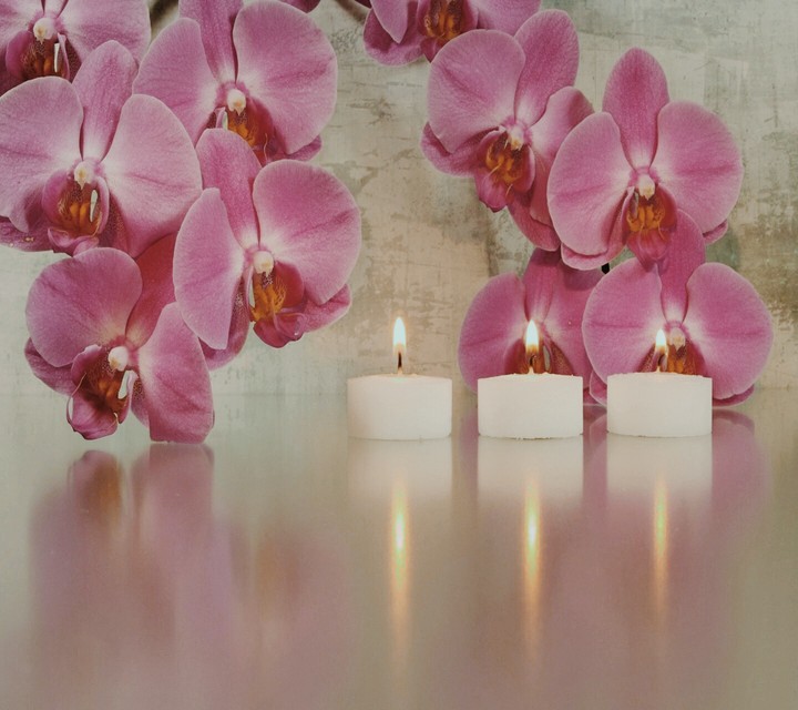 a night of orchids