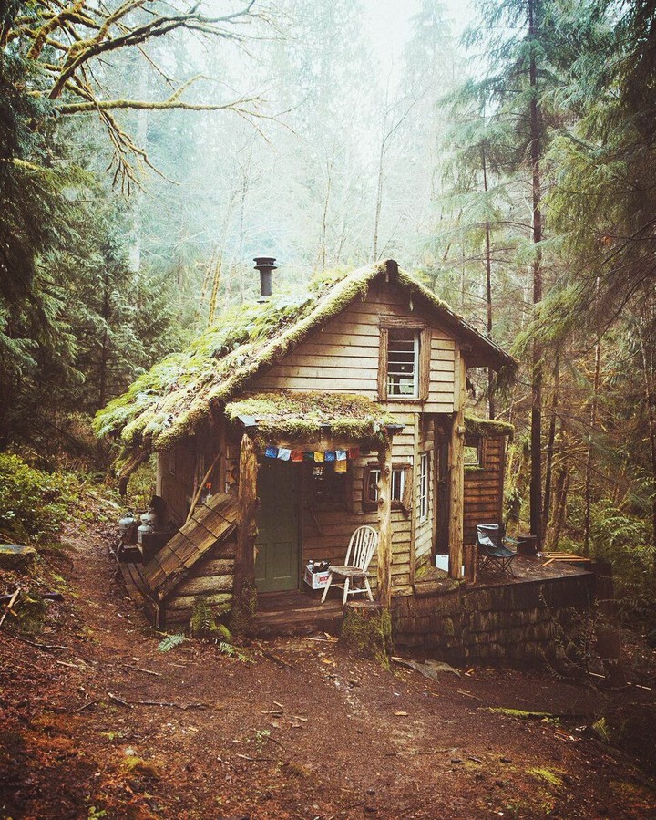 old cabin