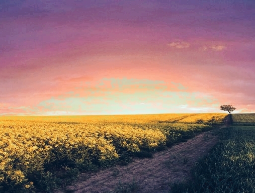 The Road So Far...