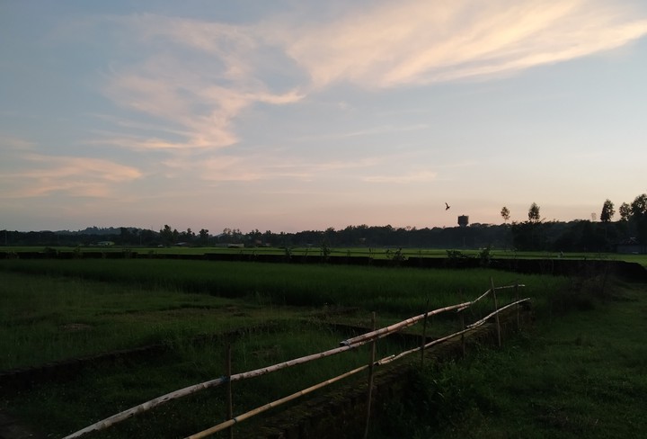 Sky