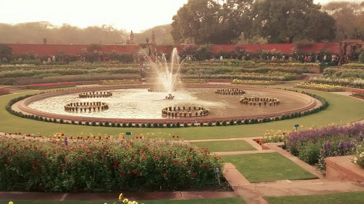 Park, water fountain,  flowers