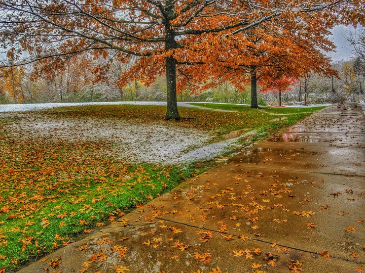 First Snow Fall